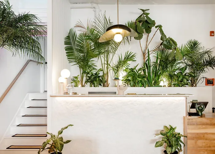 American Beech Hotel